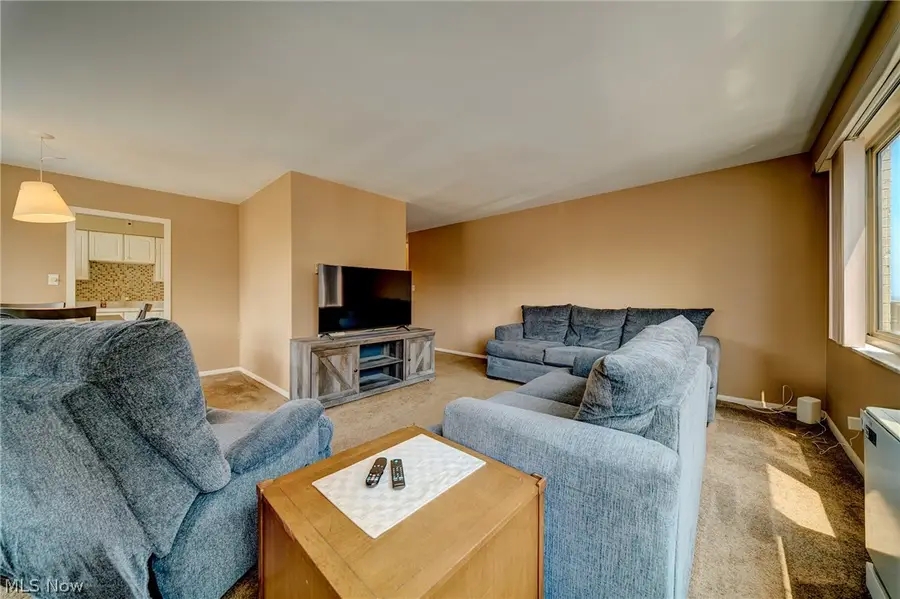 12520 Edgewater Drive #210, Lakewood, OH 44107 - #2