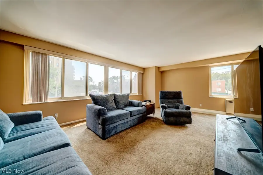 12520 Edgewater Drive #210, Lakewood, OH 44107 - #3