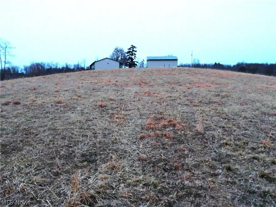 Moore Ridge, Jerusalem, OH 43747 - #3