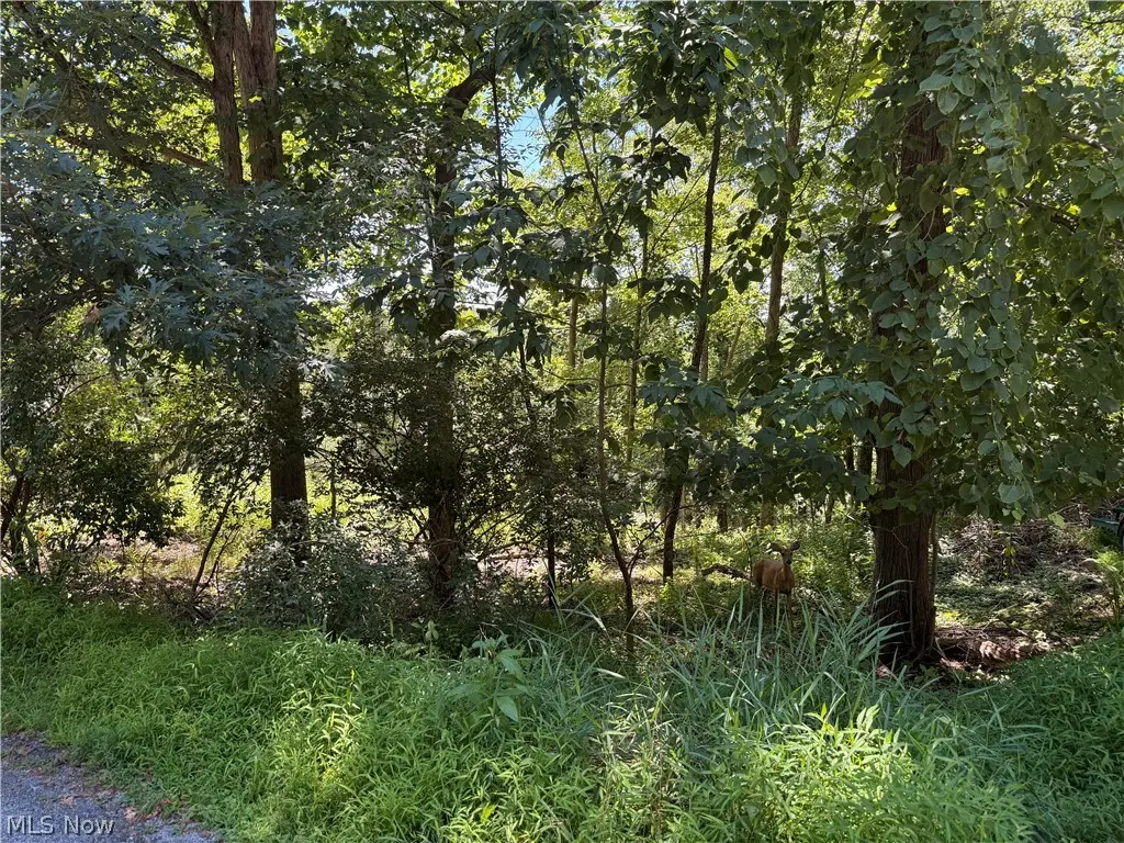 Lot 1623 Comanche Trail, Malvern, OH 44644 - #1