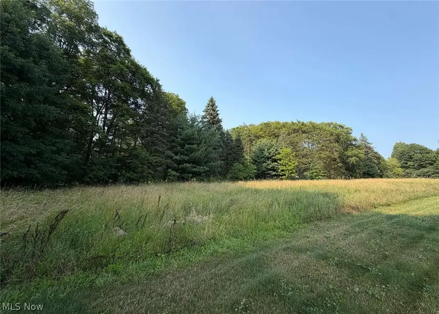 0 Beach Road, Wadsworth, OH 44281 - #2