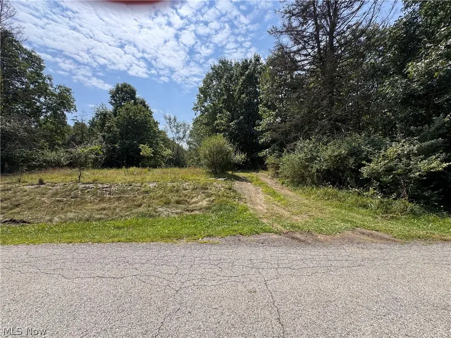 Tomahawk Drive Drive, Negley, OH 44441 - #3