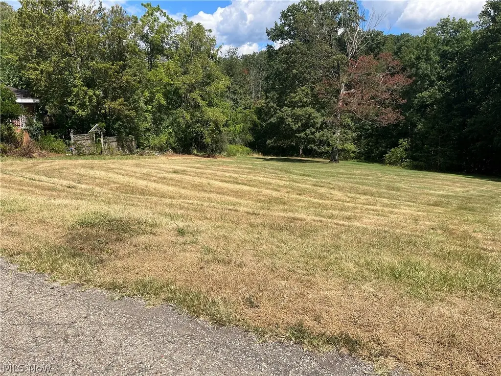 Linmar Avenue, Wintersville, OH 43953 - #1