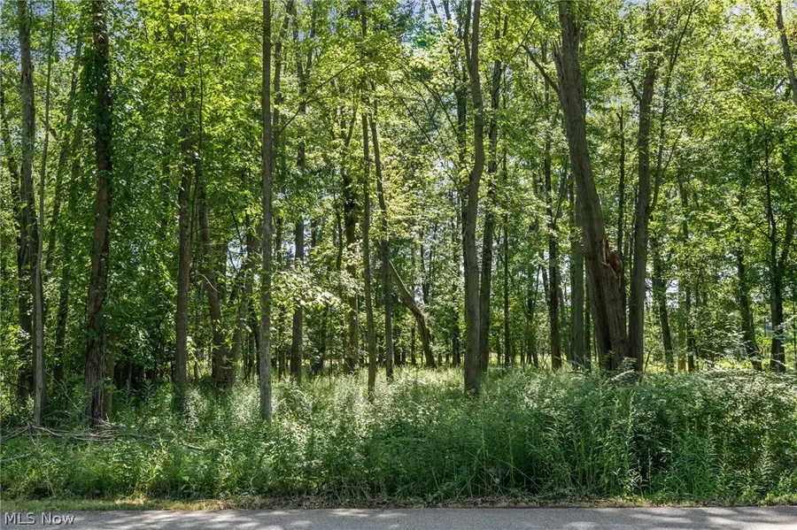 Cranage Road, Olmsted Falls, OH 44138 - #2