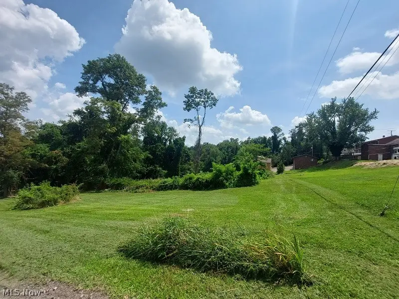 Cunningham Lane, Steubenville, OH 43953 - #1