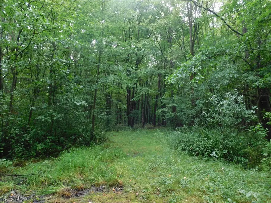 Hyde Road, Rome, OH 44085 - #3