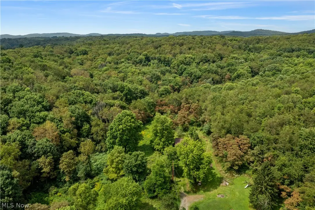 Buzzard Road, Wellsville, OH 43968 - #1