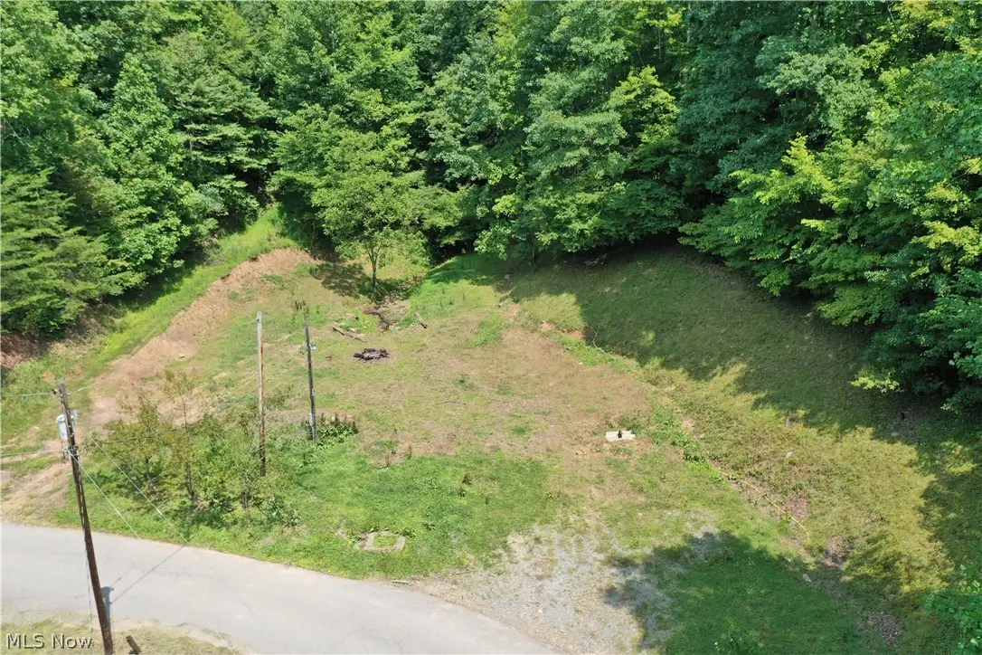998 Sugarcamp Road, Big Bend, WV 26136 - #1