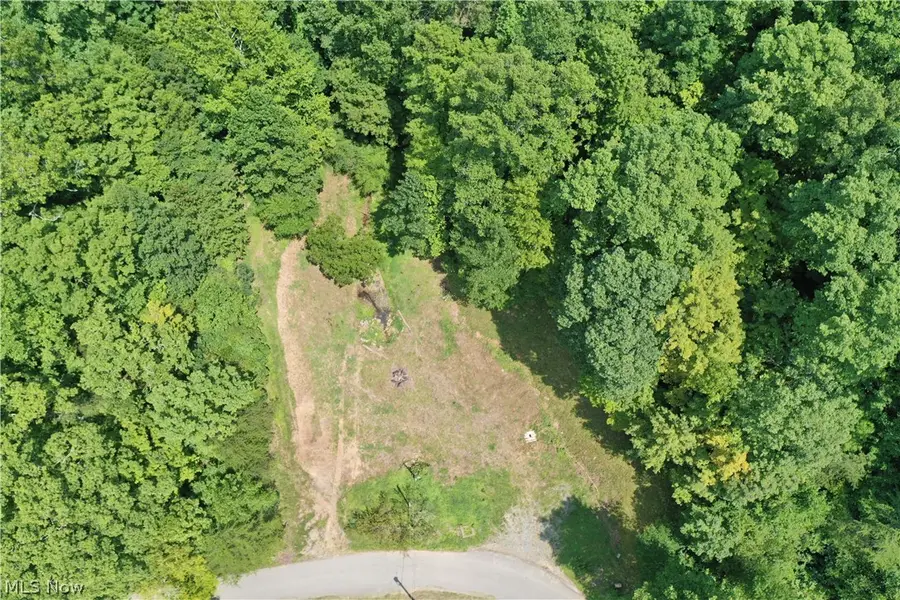 998 Sugarcamp Road, Big Bend, WV 26136 - #3