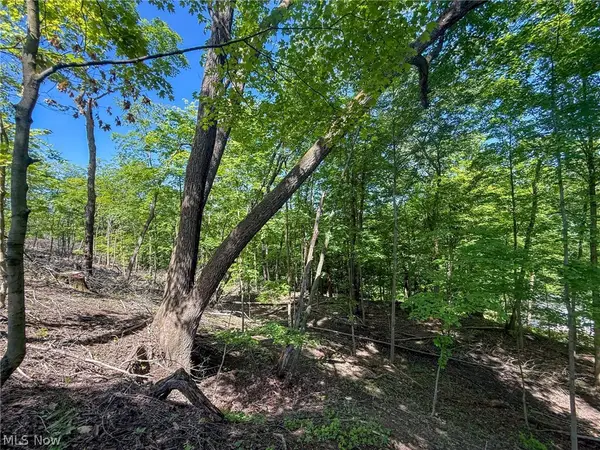 Lot 1 Altamont Rd, Mingo Junction, OH 43938