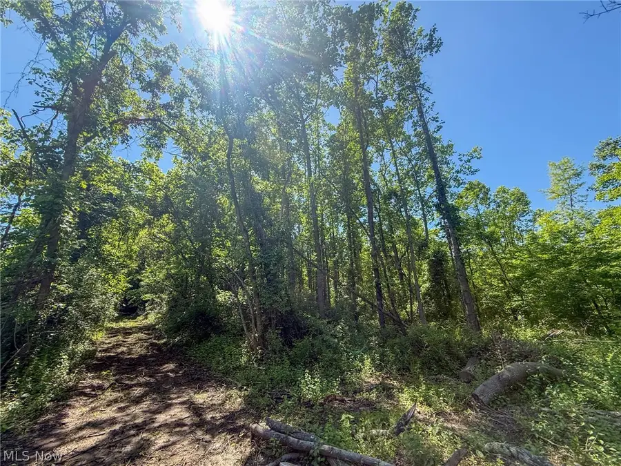 Lot 1 Altamont Rd, Mingo Junction, OH 43938 - #3
