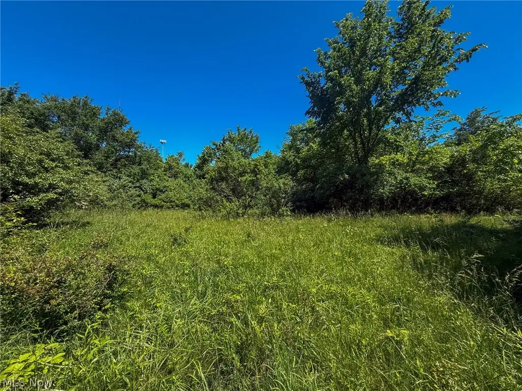Lot 2 Altamont Rd, Mingo Junction, OH 43938 - #1
