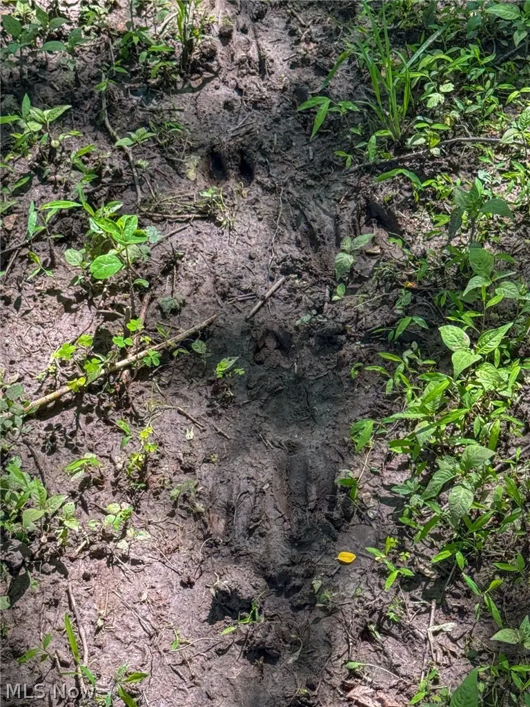 Lot 2 Altamont Rd, Mingo Junction, OH 43938 - #2