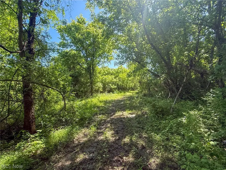 Lot 2 Altamont Rd, Mingo Junction, OH 43938 - #3