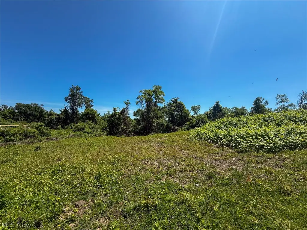 Lot 3 Altamont Rd, Mingo Junction, OH 43938 - #1