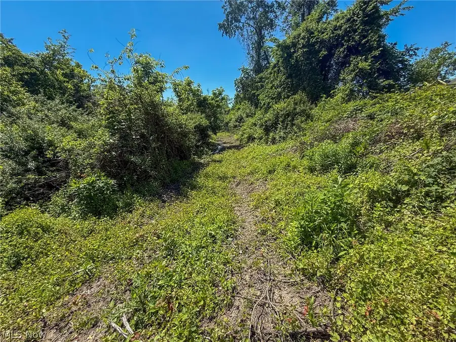Lot 3 Altamont Rd, Mingo Junction, OH 43938 - #3