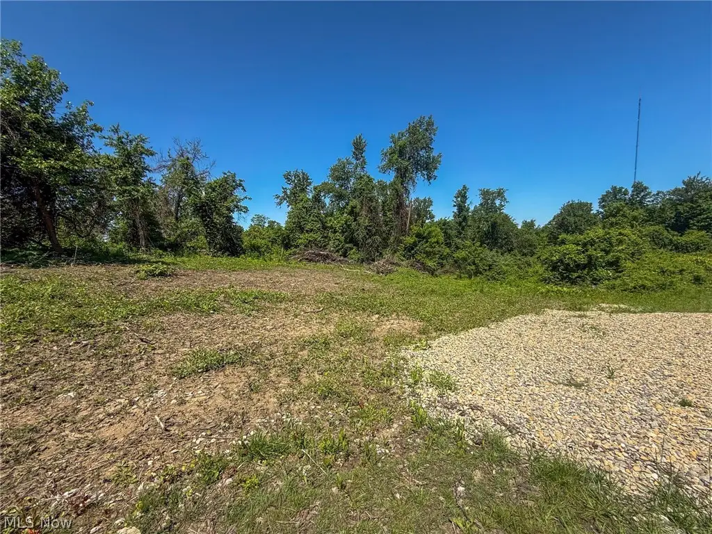 Lot 4 Altamont Rd, Mingo Junction, OH 43938 - #1