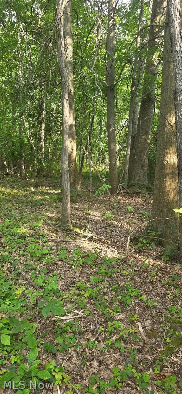 Lincoln Boulevard, Hudson, OH 44236