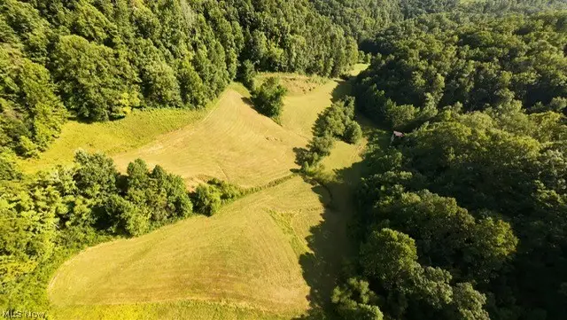 001 Mud Fork Road, Chloe, WV 25235 - #1