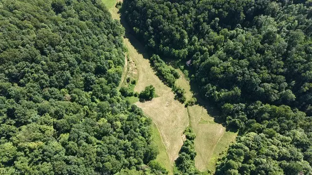 001 Mud Fork Road, Chloe, WV 25235 - #2