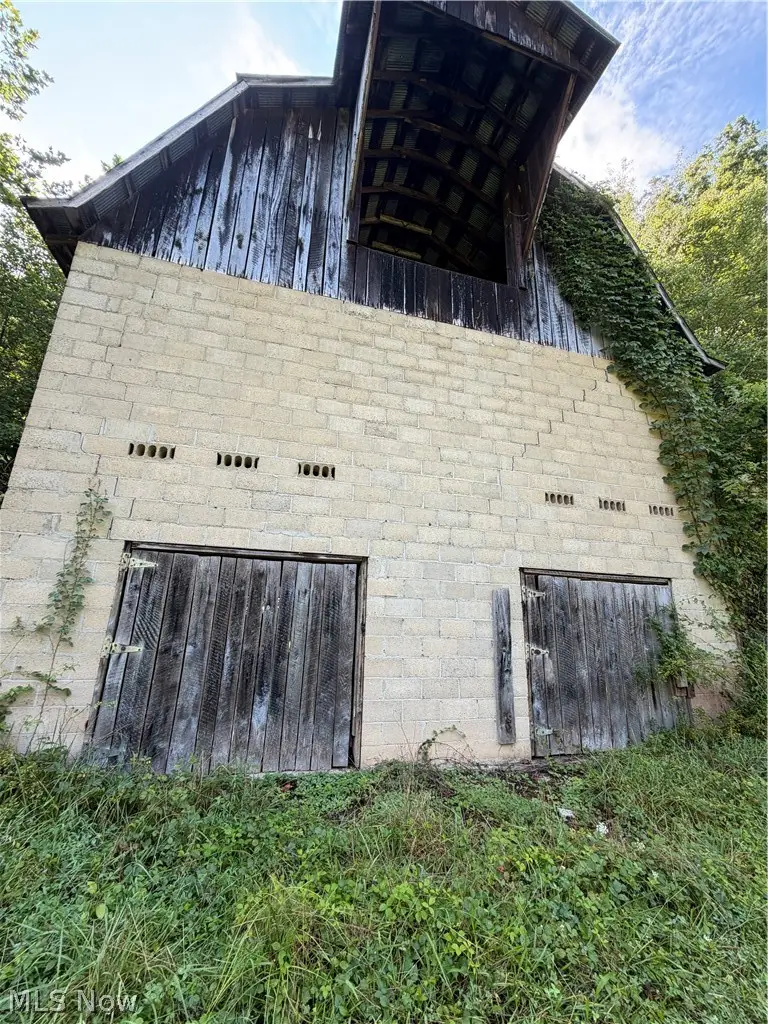 001 Mud Fork Road, Chloe, WV 25235 - #3