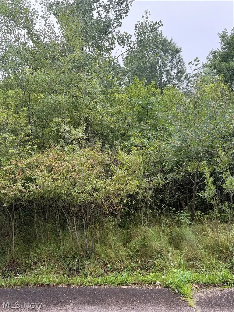 Eastview Avenue, Youngstown, OH 44505 - #1