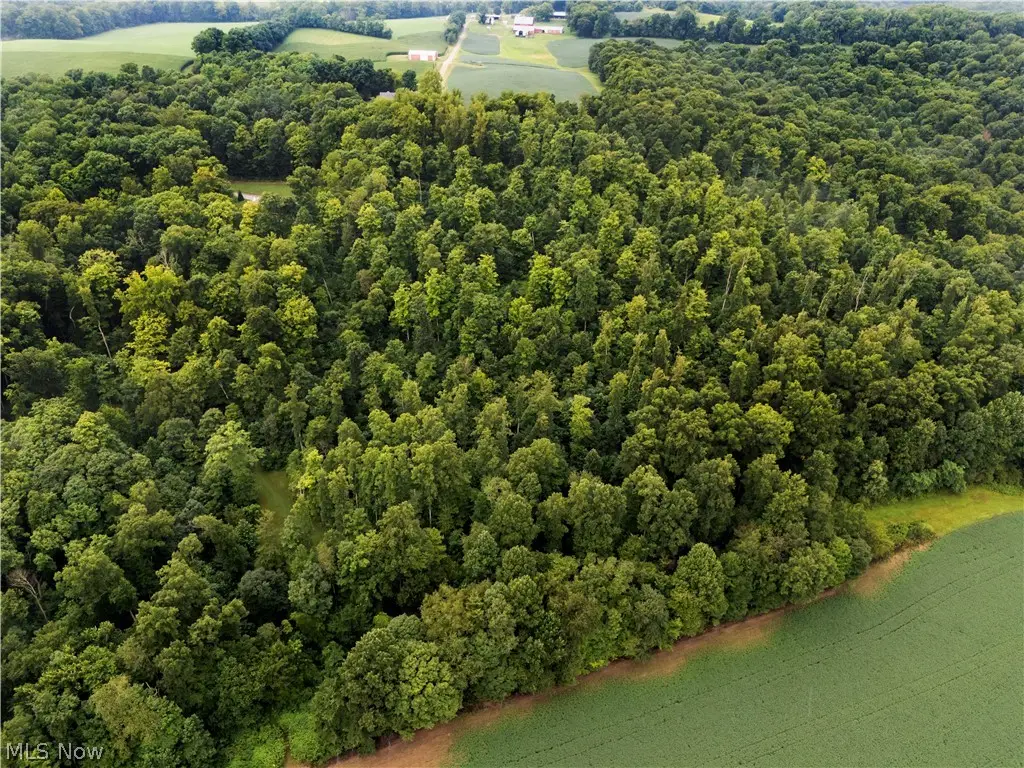 0 Township Road 252, Killbuck, OH 44637 - #1