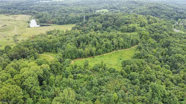 43998 Hammond School Road, Wellsville, OH 43968