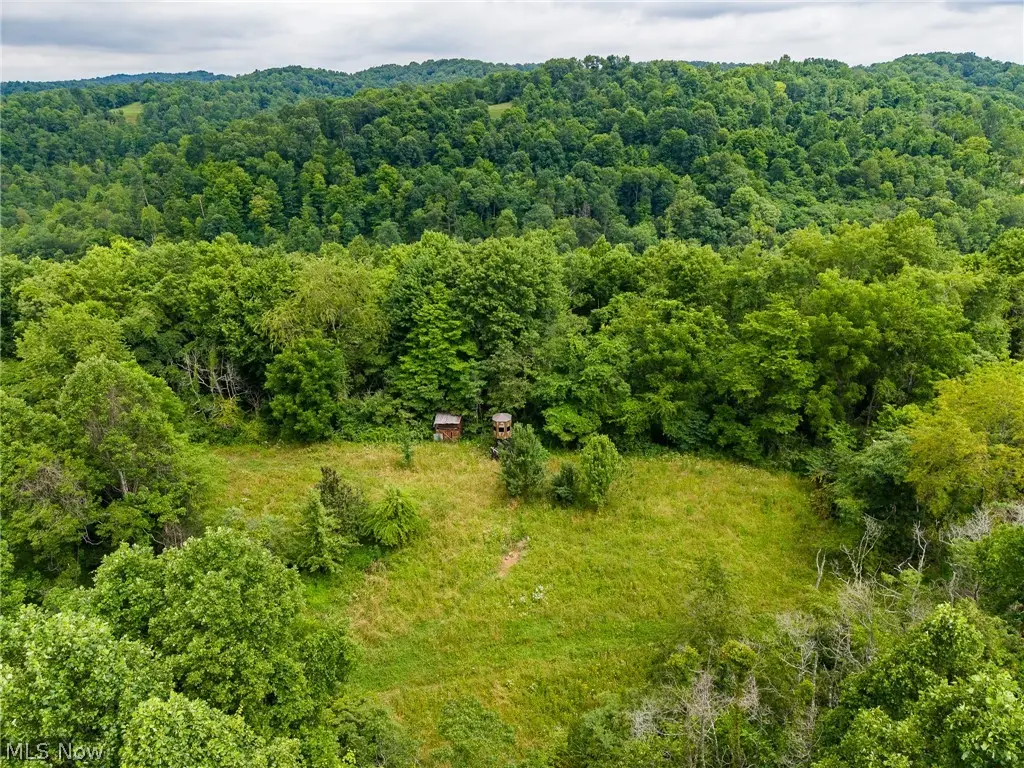 Sheepskin Road, Lower Salem, OH 45745 - #1