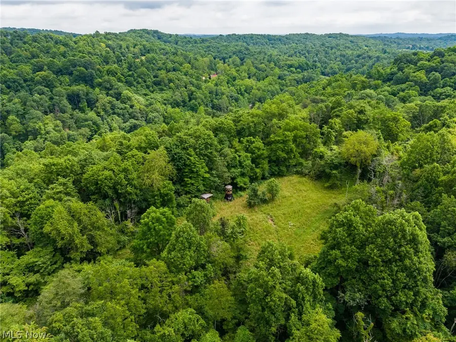 Sheepskin Road, Lower Salem, OH 45745 - #2