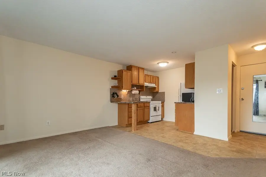 1372 Golden Gate Boulevard #B204, Mayfield Heights, OH 44124 - #3