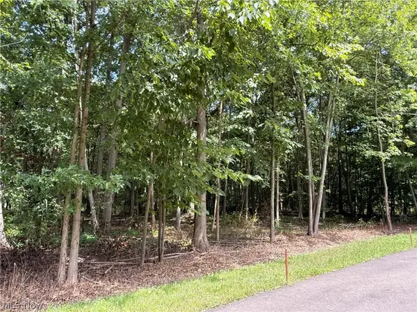13545 Meadow Ne Street, Alliance, OH 44601