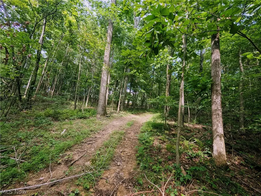 County Road 33, Warsaw, OH 43844 - #2