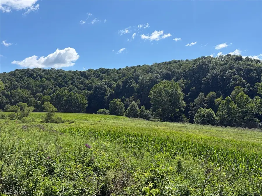 38923 Stonehouse Road, Woodsfield, OH 43793 - #2