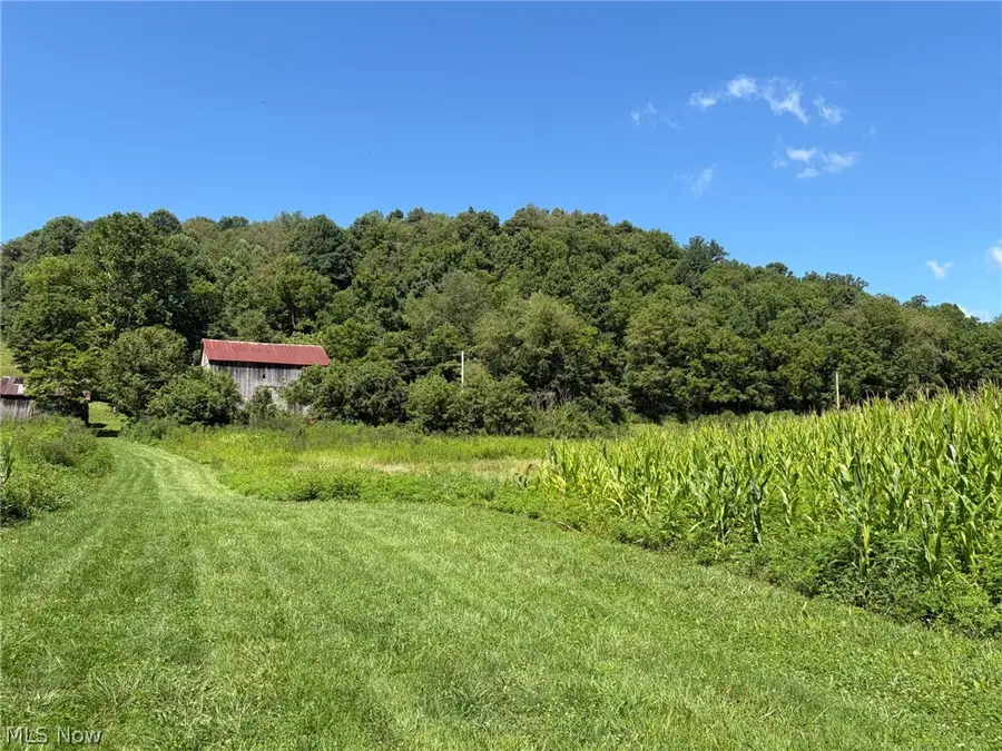 38923 Stonehouse Road, Woodsfield, OH 43793 - #3