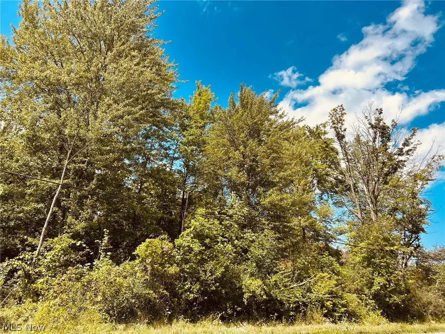 Lake Road, Medina, OH 44256 - #2