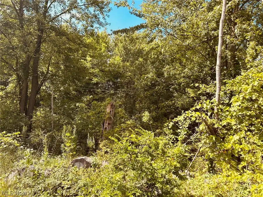 Lake Road, Medina, OH 44256 - #3