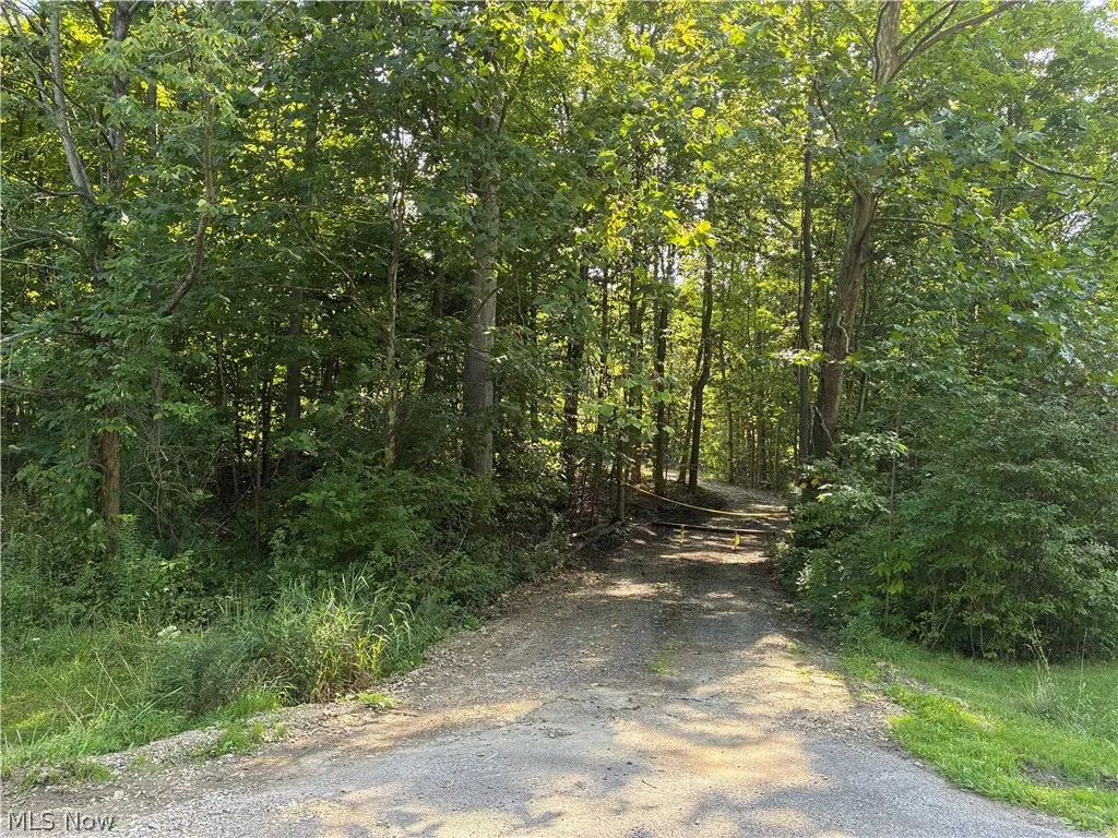 11500 Foxhaven Drive, Chesterland, OH 44026 - #1