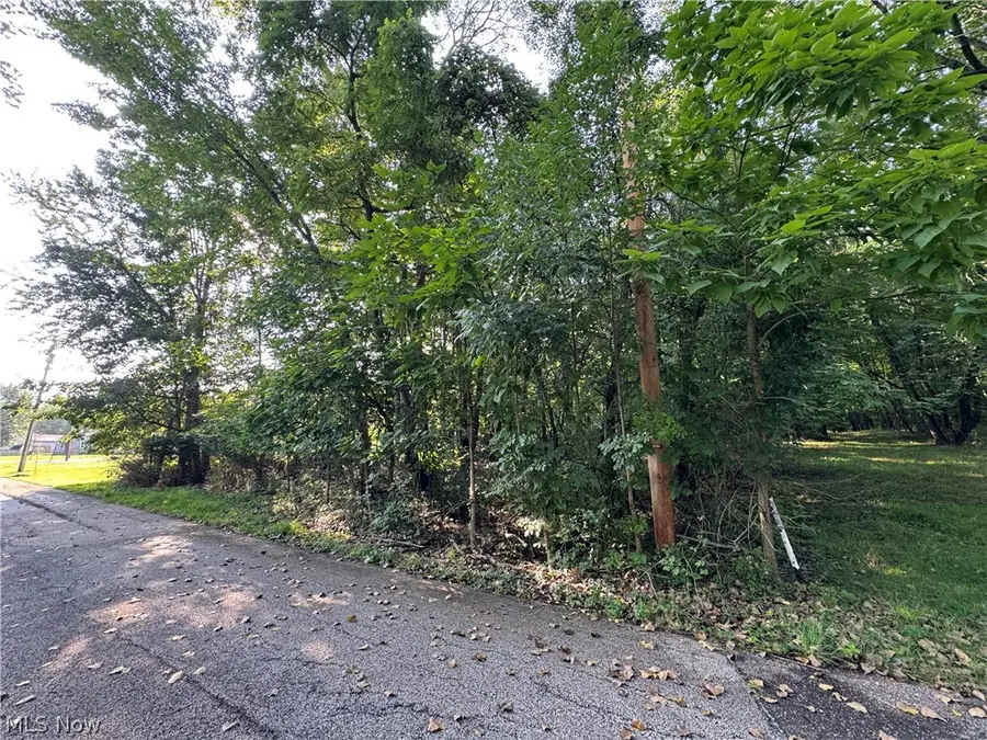 Antone Avenue, Tallmadge, OH 44278 - #2