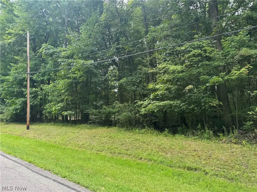 1995 Flame Lake Drive, Roaming Shores, OH 44084 - #1