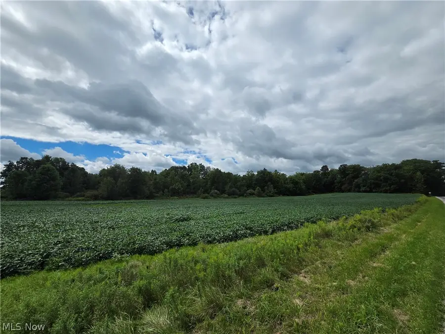 Norton Road, Garrettsville, OH 44231 - #2