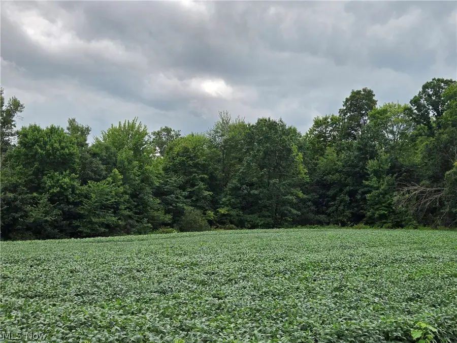 Norton Road, Garrettsville, OH 44231 - #3