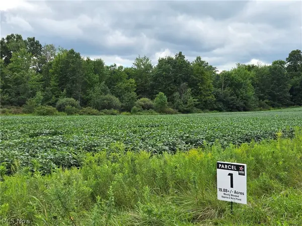 (Parcel 1) Norton Rd, Garrettsville, OH 44231