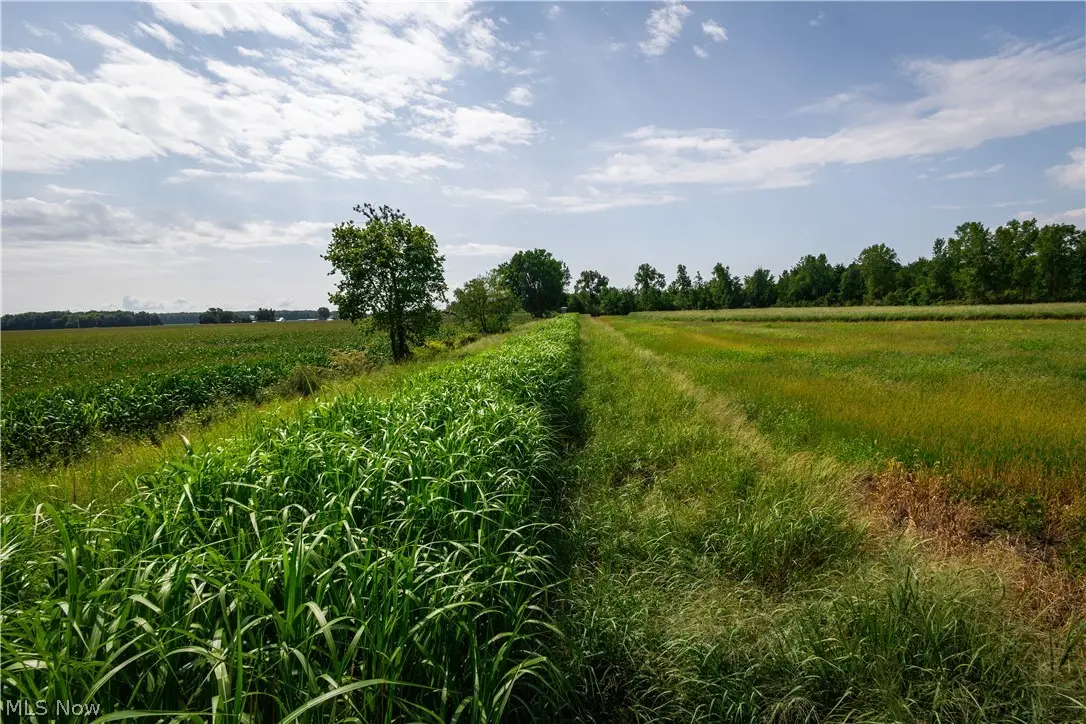 3835 County Road 147, Washington, OH 43416 - #1