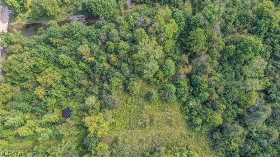VL Risher Road, Warren, OH 44481 - #3