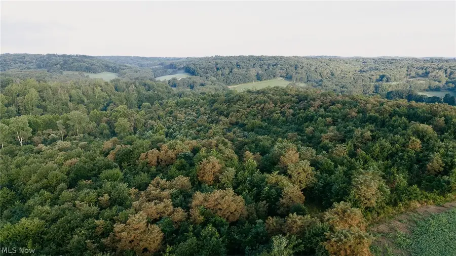 Nickel Road, Salineville, OH 43945 - #3