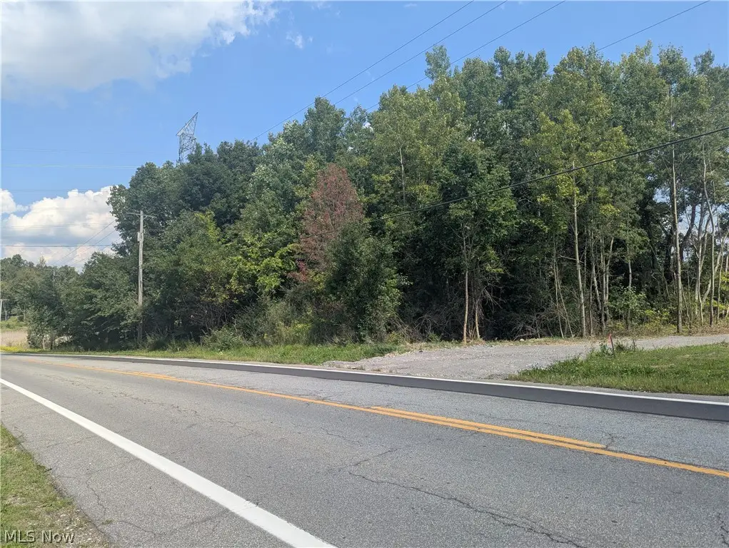 St Route 44, Mantua, OH 44255 - #1