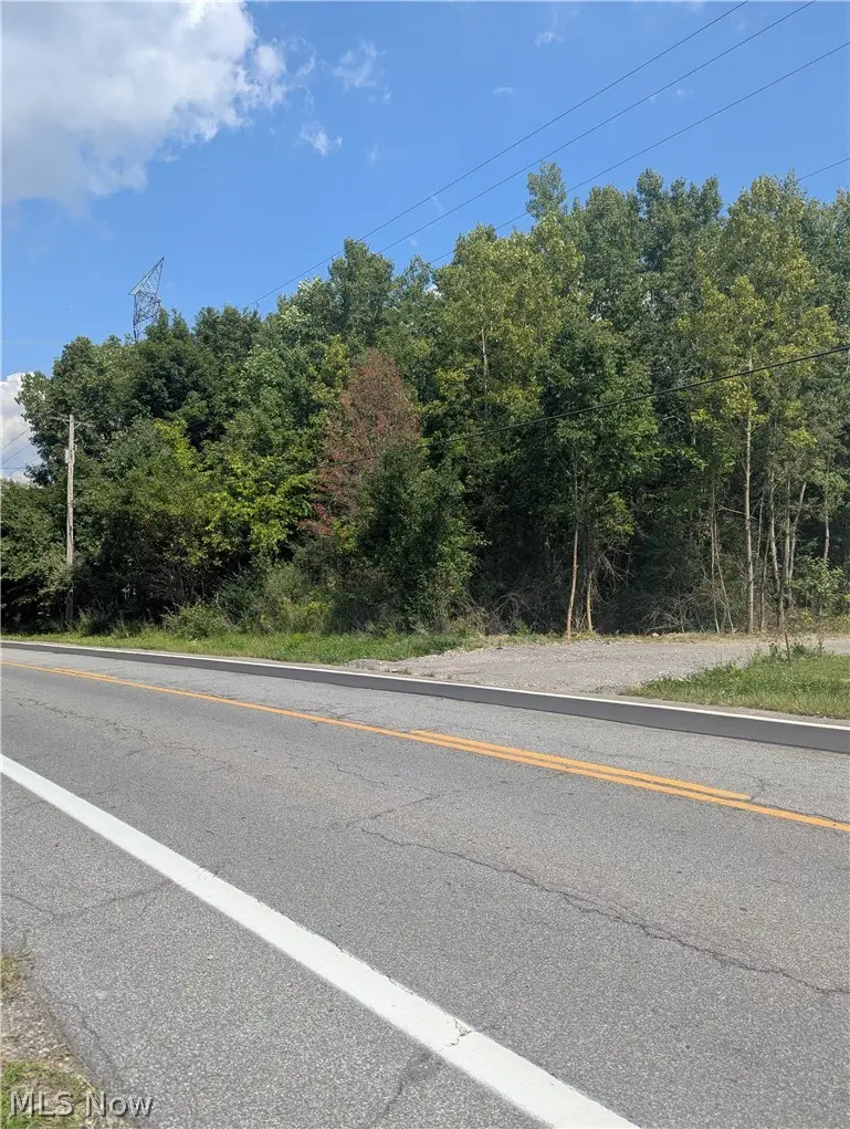 St Route 44, Mantua, OH 44255 - #2