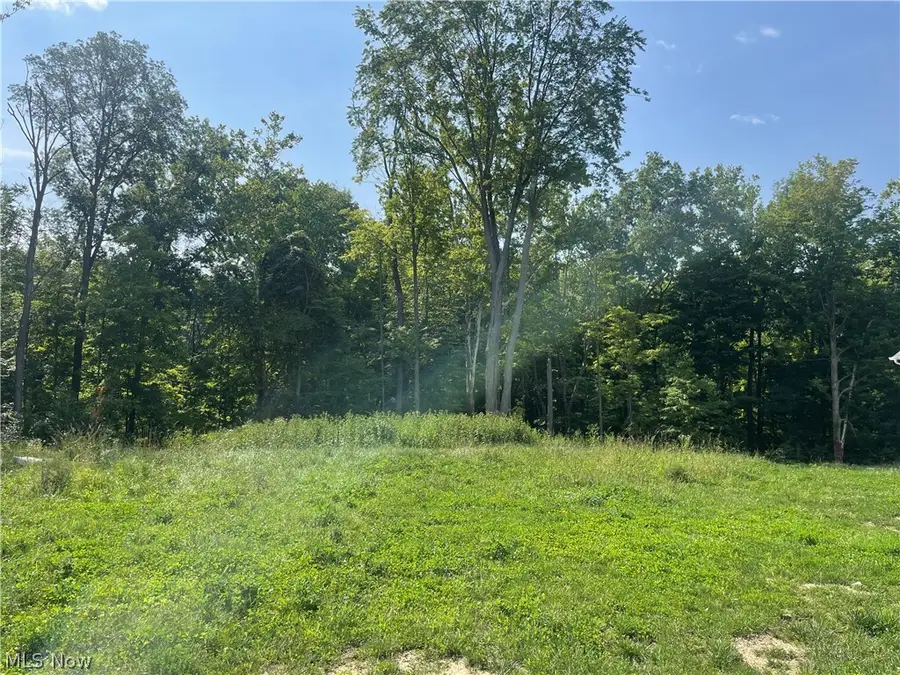 S/L 371 Canyon Ridge, Chagrin Falls, OH 44023 - #2