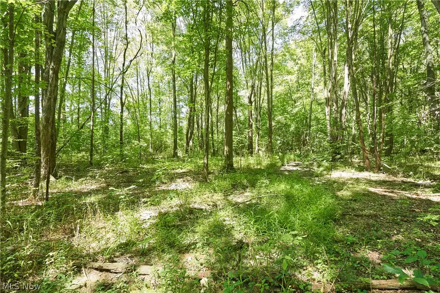 3279 Ridgewood Road, Fairlawn, OH 44333 - #3